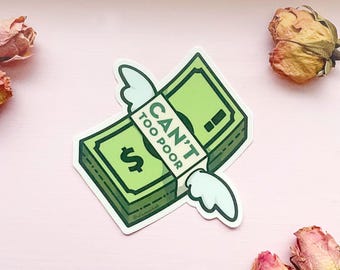 Can't Too Poor Flying Money Clear Vinyl Sticker