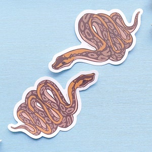 Könnte beinhalten: Zwei braune und orangefarbene Schlangenaufkleber auf hellblauem Hintergrund. Die Schlangen sind in verschiedenen Positionen zusammengerollt.