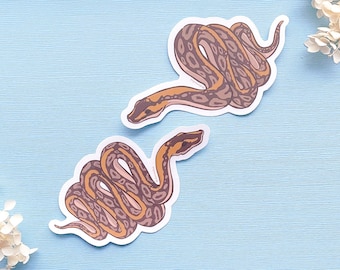 Royal Ball Pythons Vinyl-Aufkleber Set