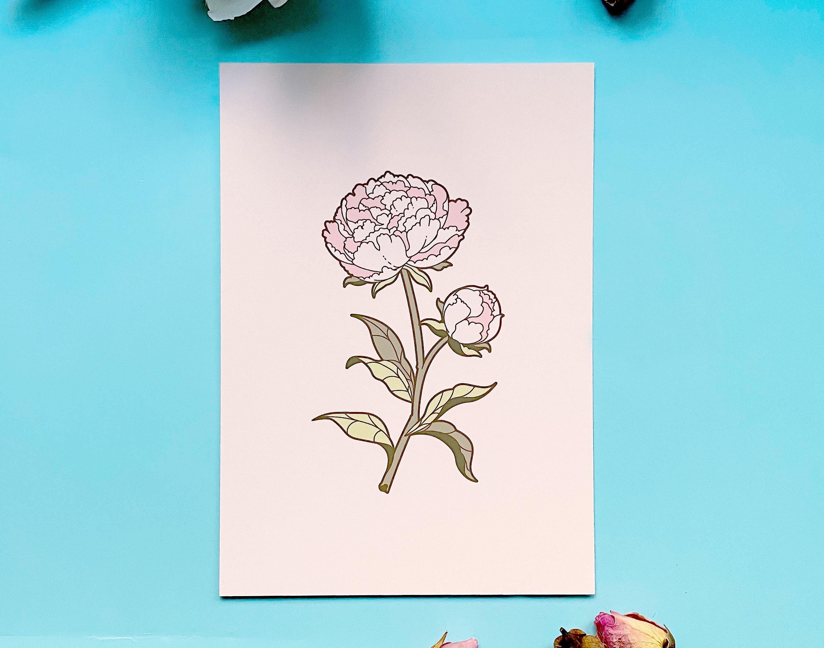 Pink Peony Floral Botanical Art Print - Etsy