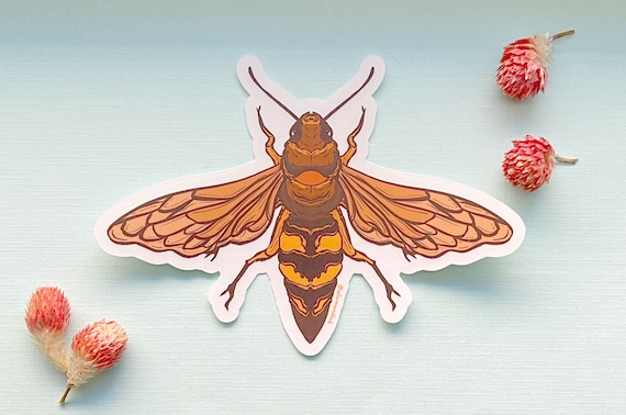 Bee & Dee Rope Signature Footie/Beanie-Berry Bee & Dee Rope Signature Footie/Beanie-Berry