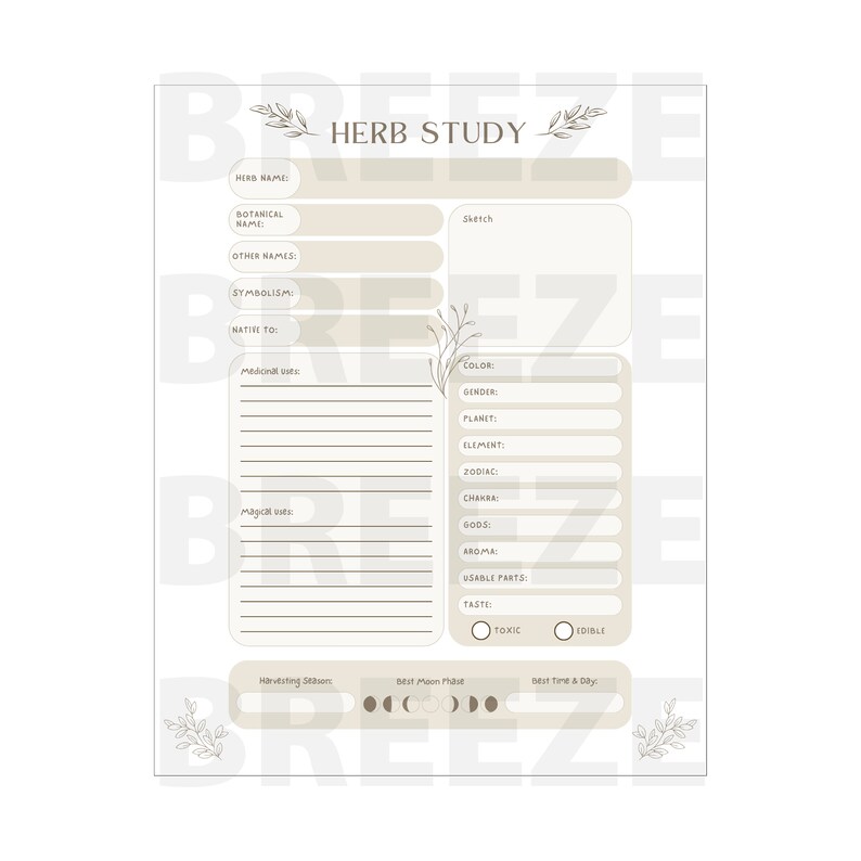 Puede incluir: Una hoja de estudio de hierbas imprimible en beige y blanco con el t&iacute;tulo "HERB STUDY". La hoja incluye secciones para el nombre de la hierba, el nombre bot&aacute;nico, el simbolismo, los usos medicinales y m&aacute;s. Elementos florales decorativos est&aacute;n presentes.