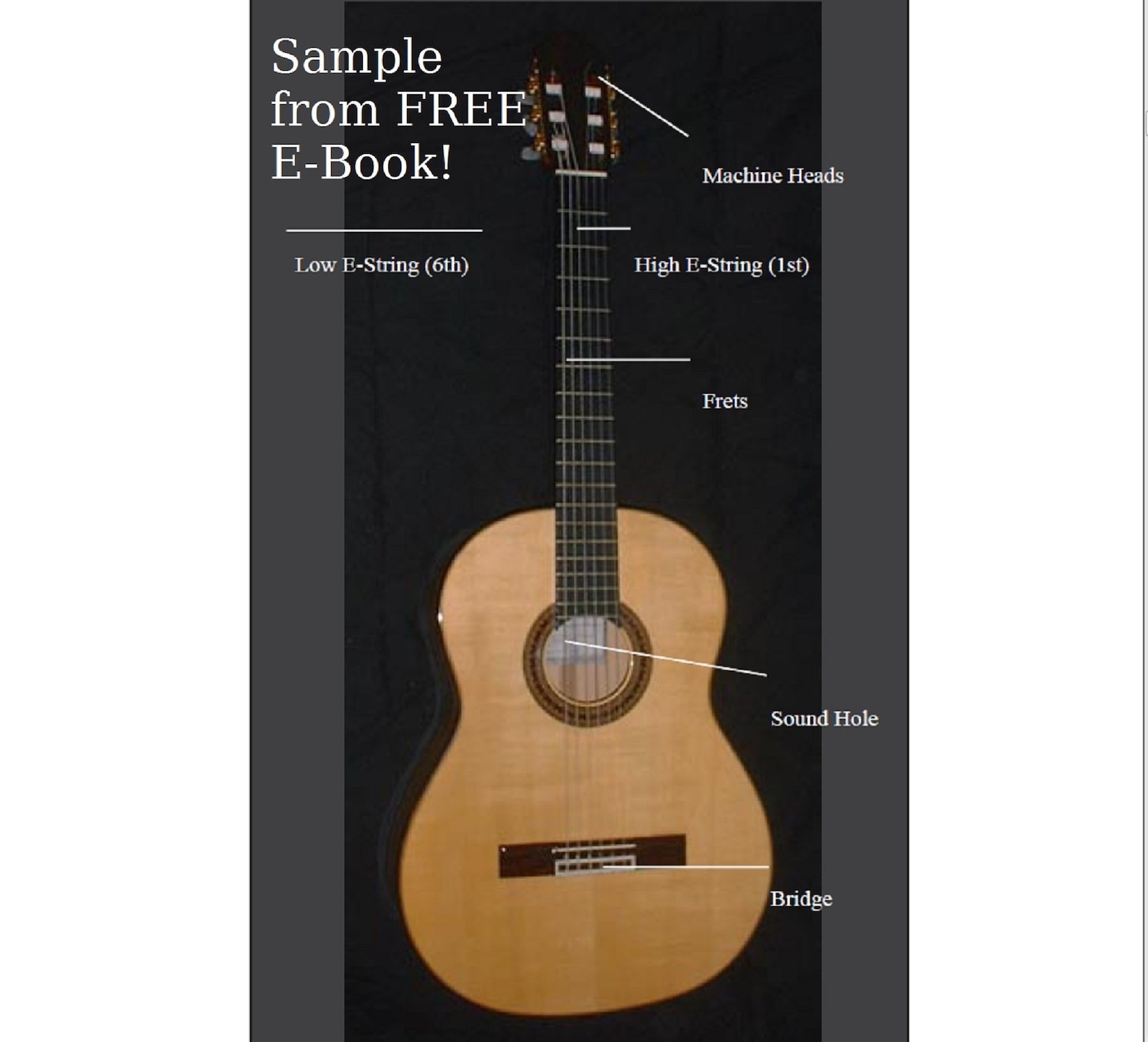 Printable Blank Guitar Fretboard, Guitar Neck Chart, Instant Download ...