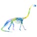Dinosaur Skeleton Decor Printable Wall Art Classroom Fossil Watercolor ...