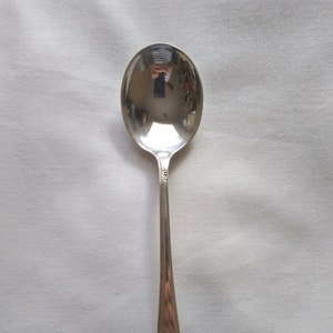 May include: A silver spoon with an ornate floral design on the handle. The spoon is polished and reflects light.
