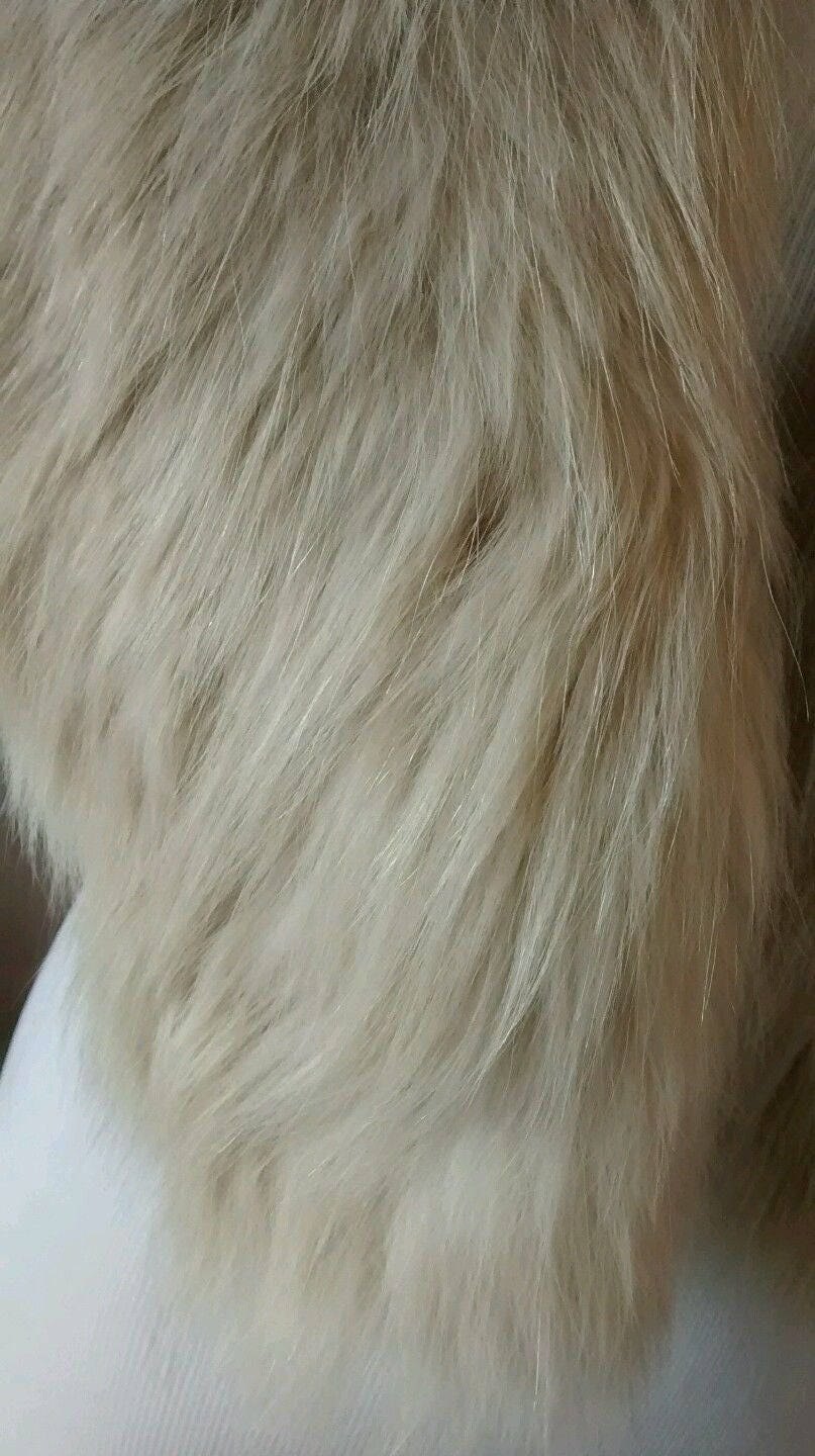Vintage Fox Fur Stole, Ivory, off White, Detachable Collar, Genuine