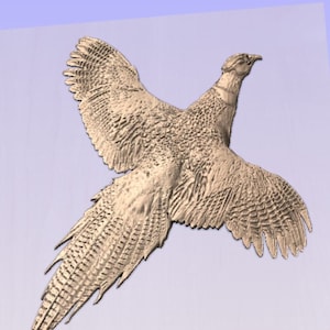 May include: A detailed relief carving of a pheasant in flight, showcasing intricate feather details. The bird is depicted with outstretched wings and a long tail, rendered in a neutral, textured finish, set against a light blue background.