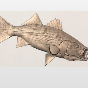 Striped Bass stl, Striper bass digital, striped bass model, bass wall art, bass carving,