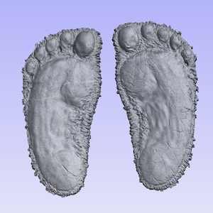 BIG Foot tracks STL 3d file for cnc, sasquatch tracks stl
