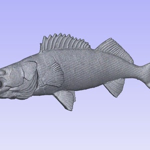 Walleye STL file, walleye for cnc, digital walleye, walleye fishing, sport fishing, walleye model