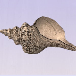 Modèle STL de conque pour usinage CNC