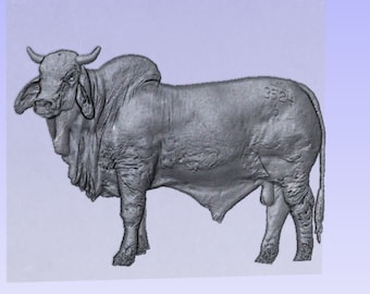 Brahma bull Stl, Bull stl, cow stl, digital brahma bull, Brahma bull for cnc