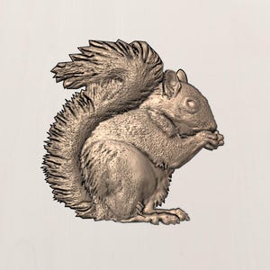 Squirrel digital model, 3D squirrels, Squirrel stl model for cnc