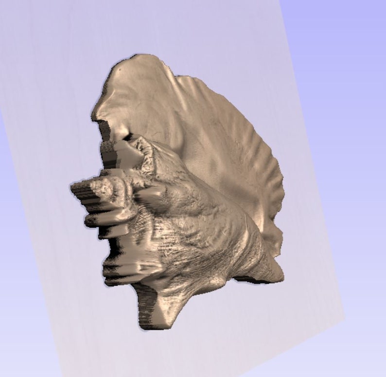 Conch Shell STL Model for CNC Machining - Etsy