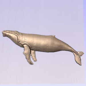 May include: A detailed sculpture of a humpback whale, rendered in a neutral beige tone. The whale is depicted in a swimming pose, showcasing its flippers, tail, and textured skin. The sculpture is set against a light blue background.