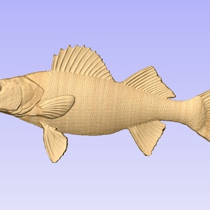 Walleye stl, modello CNC walleye, file digitale walleye