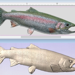 Rainbow trout CNC model, trout stl, digital trout
