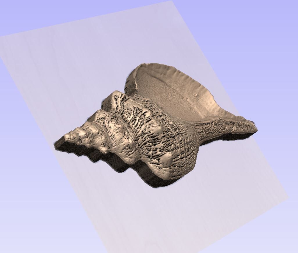 Conch Shell STL Model for CNC Machining - Etsy