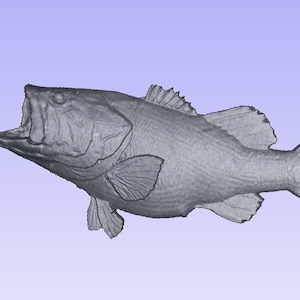 Bass stl, Largemouth bass digital, bass model, bass wall art, bass carving, sportfishing art, digital bass, stl bass, fishing stl