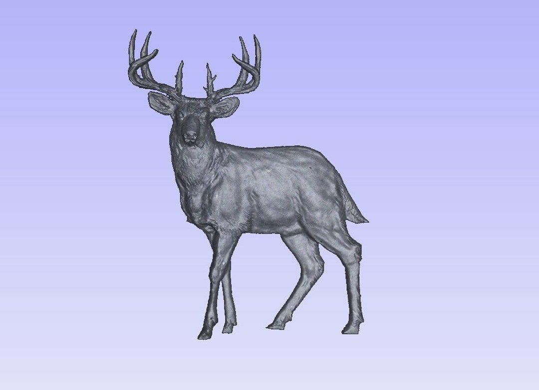 Deer model discount