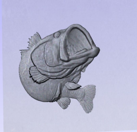 Largemouth Bass Feeding