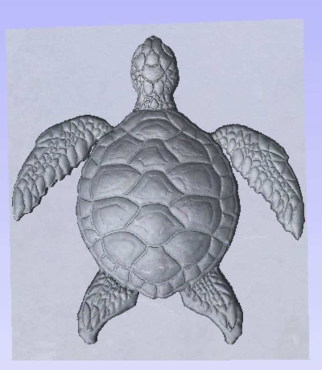 Sea Turtle 3D STL File for CNC, Digital Stl File of Sea Turtle, Digital ...