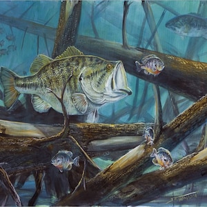 Largemouth Bass Metal Print, Fishing Wall Art (14x11)