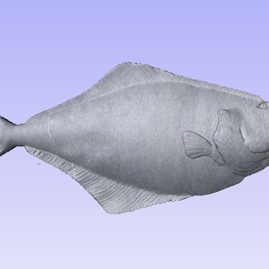Halibut 3d stl, halibut stl, Alaskan halibut stl