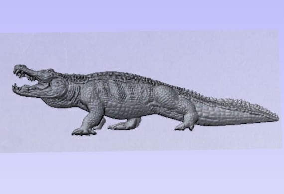 Alligator 3D STL Model for CNC Machine - Etsy
