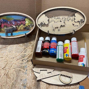 DIY Paint party, Paint and sip kits, 3D DIY art kit, paint party kit