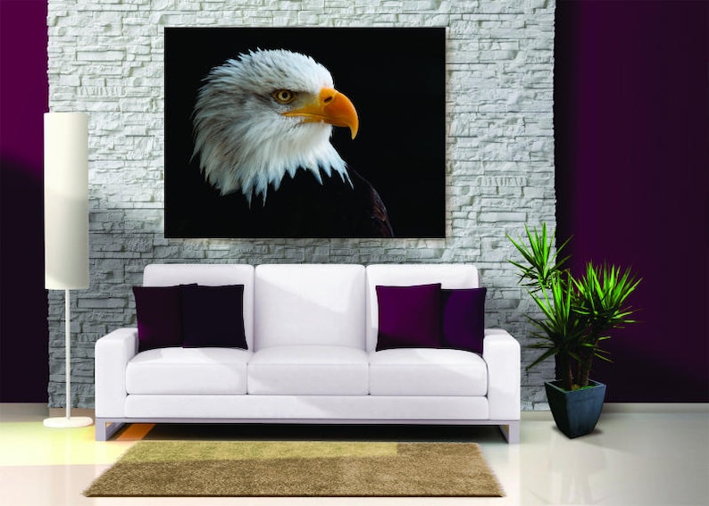 Animal Canvas Set Bald Eagle Wall Art Animal Wall Print Bald Eagle Canvas Set Bald Eagle Poster Animal Wall Decor Animal Poster
