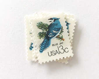 10 Vintage Blue Jay Postage Stamps: Unused Canadian Wildlife, 13 Cent