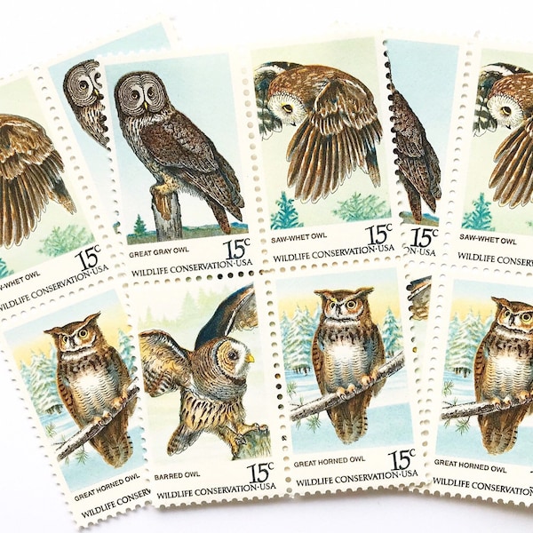 12 Unused Vintage Owl Bird Postage Stamps  / Owl Wildlife Conservation US Postage Stamps / 15 cents / Scott 1760-63