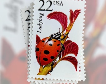 6 Vintage Ladybug Postage Stamps: Unused 22 Cent US Wildlife Stamps
