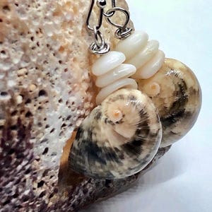 May include: Handmade seashell earrings. Each earring features a small, spiraled shell with brown and black markings, paired with a stack of white shell pieces. The earrings hang from silver-colored hooks, showcasing a natural, coastal theme.