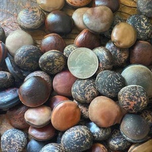 Hawaii Hamburger Sea Beans 50 PC Mix - Lots of Hard to Come By Reds! | Ono de Buey | Hawaiian Sea Bean Drift Seeds