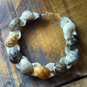 May include: A handcrafted bracelet featuring a series of natural seashells and small, patterned stones. The bracelet is connected with a gold-colored clasp. The shells are white, and the stones are various shades of brown, tan, and black.