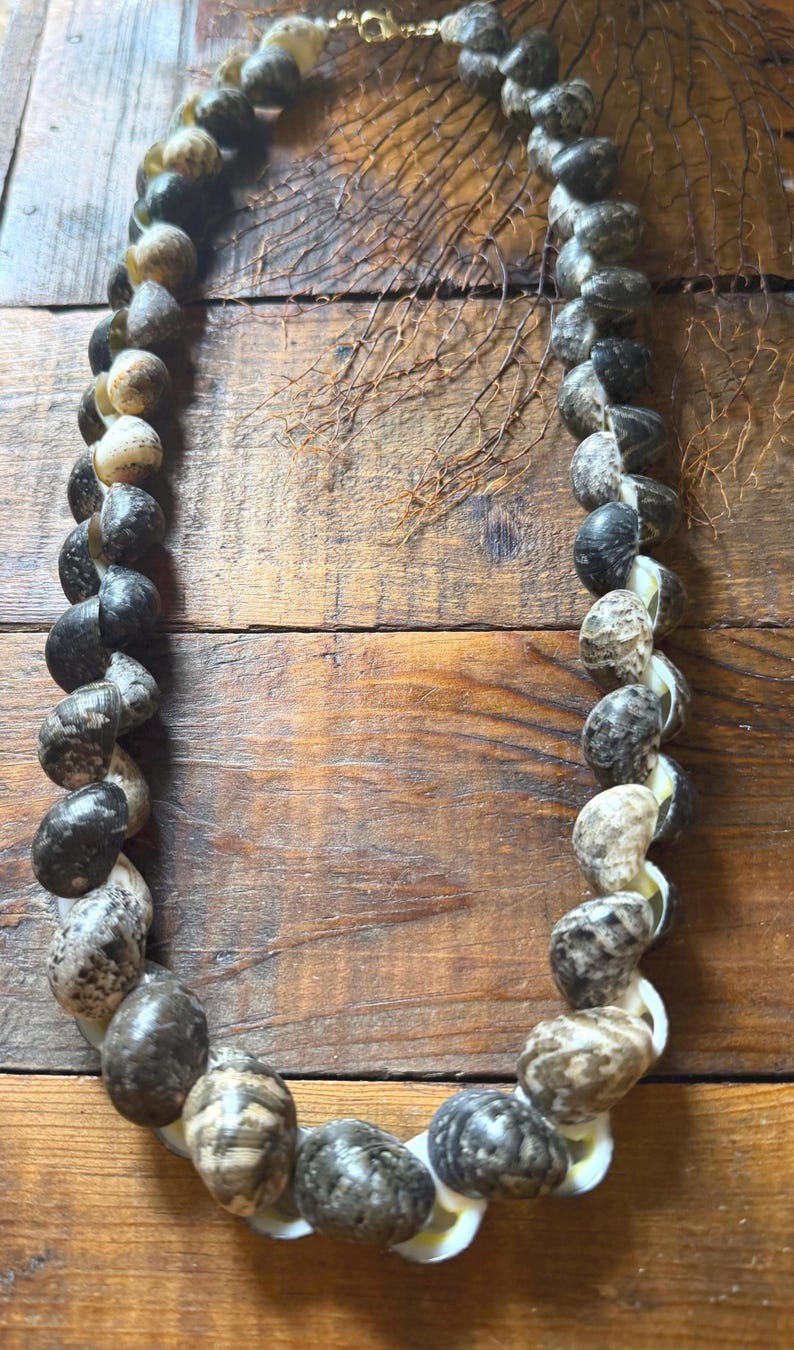 Hawaii Kupee Necklace 18k GF (24 Inch) | Hawaii Shells Statement ...