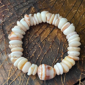 Cinnamon Bun, Gold Puka Shells Bracelet (7 inch) | Hawaii Cone Shell Puka Shells Stretch Bracelet #927