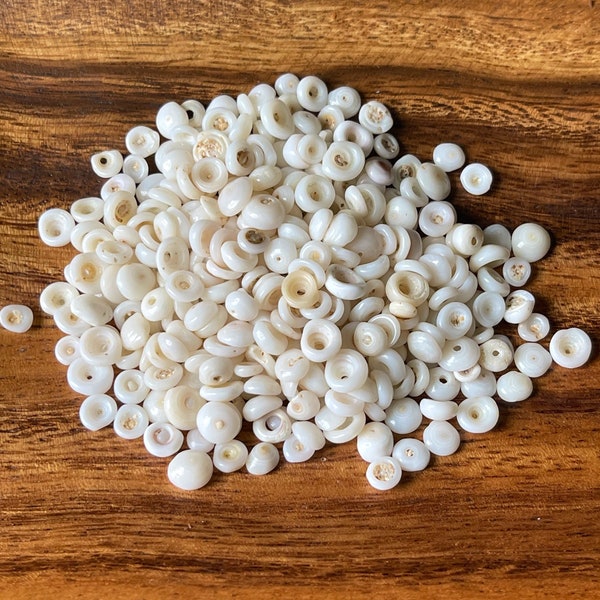 Hawaii Puka Shell Mix | Small Puka Shells | Surf Tumbled Puka Shell (Round/Semi-Round, Puka On Center) #1500