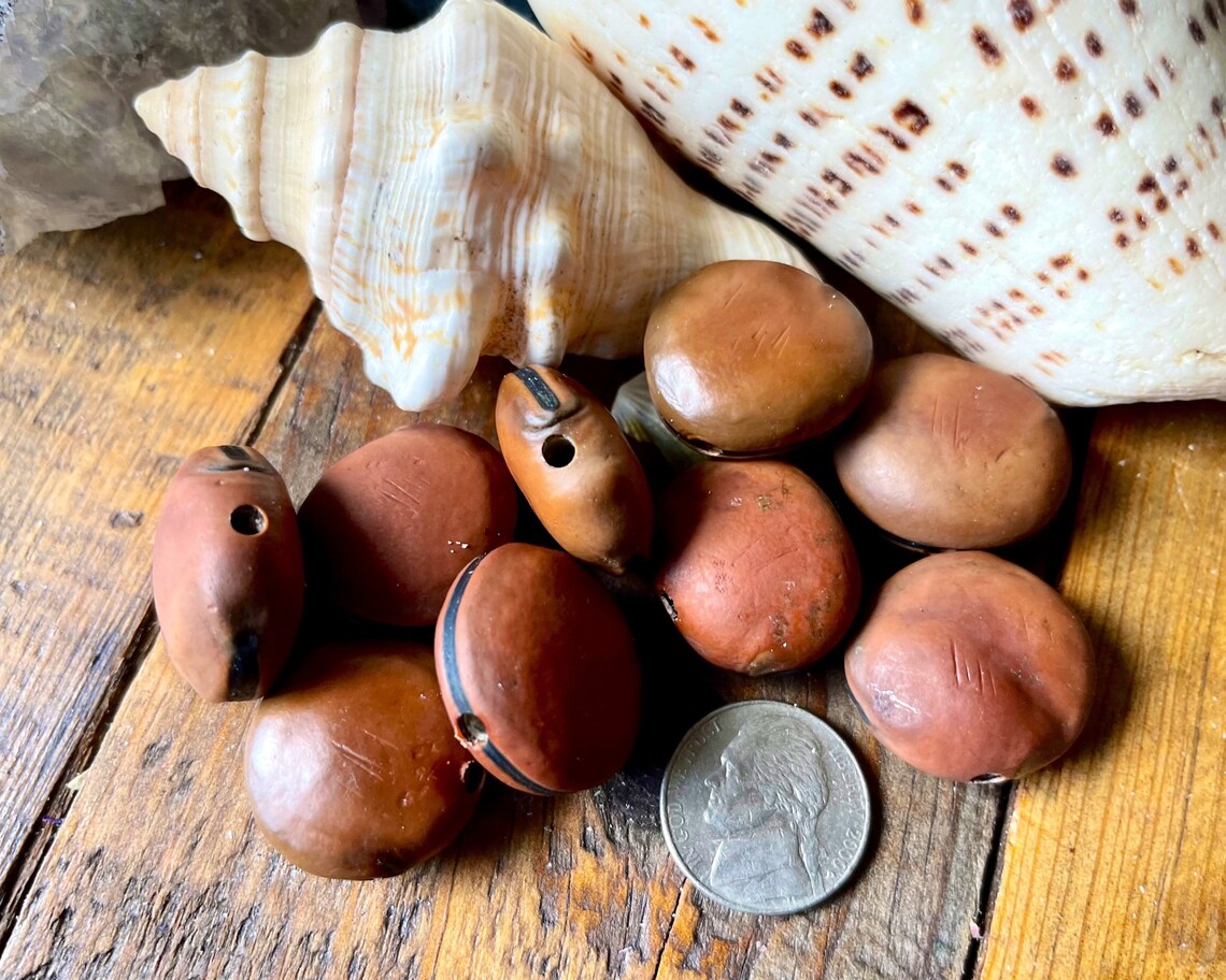 Lucky Sea Beans Mucuna Ojo De Buey Hamburger Beans Etsy