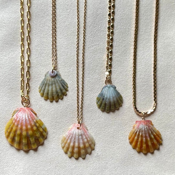Sunrise Shell Necklace - Etsy
