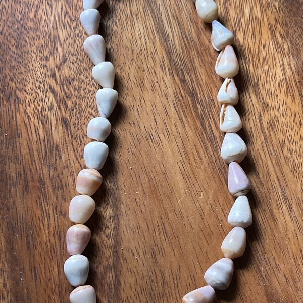 Cone Shell Jewelry Etsy