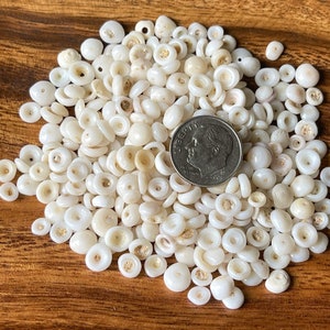 Hawaii Puka Shell Mix | Small Puka Shells | Surf Tumbled Puka Shell (Round/Semi-Round, Puka On Center) #1500