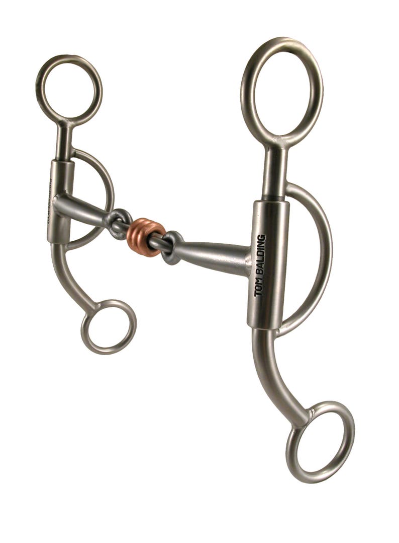 Tom Balding Baseline Bit Long Shank Correction Satin Finish