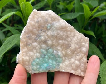 Puede incluir: Un trozo de cuarzo drusa en bruto, con una superficie texturizada y burbujeante. El cuarzo es principalmente blanquecino con zonas de azul pálido y gris. La piedra se sostiene en una mano sobre un fondo de follaje verde.