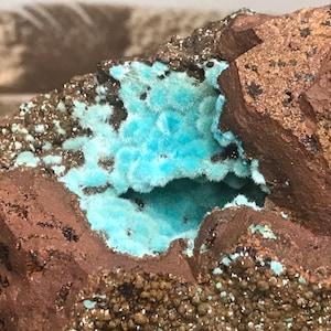 Puede incluir: Primer plano de un espécimen mineral que presenta una cavidad de vibrantes y esponjosos cristales turquesa anidados dentro de una matriz de roca marrón rojiza. La superficie de la roca tiene una textura moteada y granular con destellos metálicos.