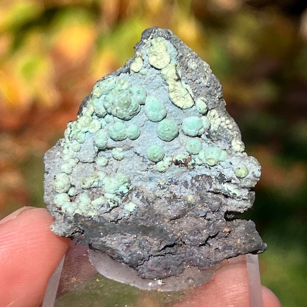 Botryoidal Chrysocolla Specimen | planet Mine | La Paz County Arizona