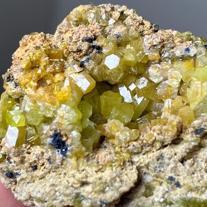 May include: Close-up of a mineral specimen featuring clusters of vibrant, translucent, yellow-green crystals. The crystals are set against a matrix of tan and brown rock, with small black inclusions. The overall texture is rough and natural.
