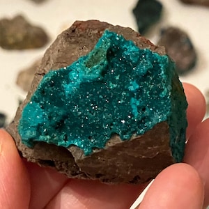 Cluster di dioptasio verde vibrante / Su matrice / Repubblica del Congo